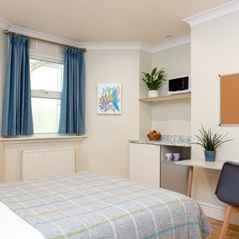 Standard Double - Image 6